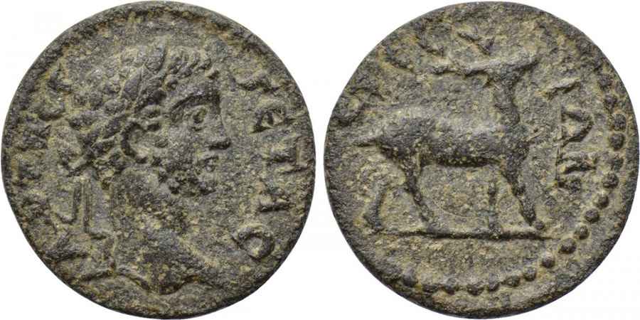 Agesilaos Antik Sikkeler Nümizmatik_EPH (2).jpg