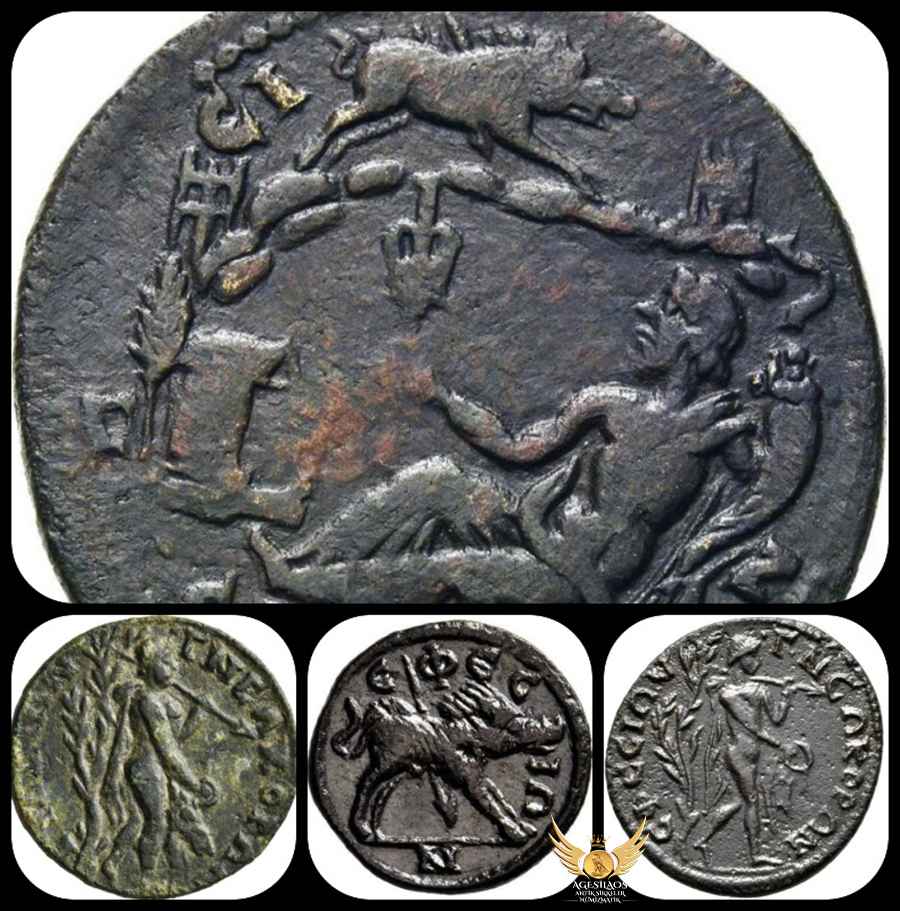 Agesilaos Antik Sikkeler Nümizmatik_EPH.jpg