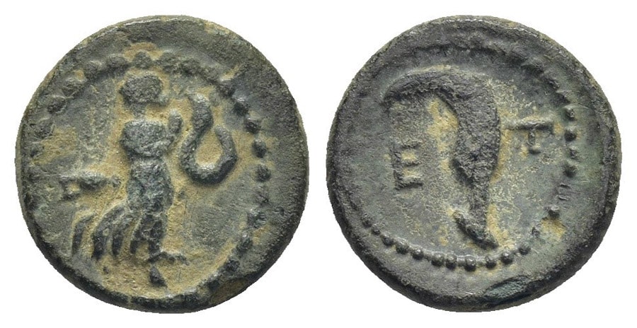 AGESİLAOS ANTİK SİKKELER NÜMİZMATİK_Etenna (2).jpg