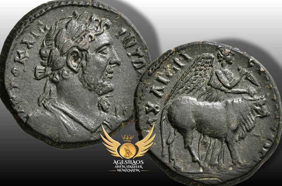 Agesilaos Antik Sikkeler Nümizmatik_EU.jpg