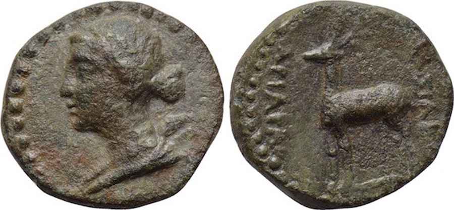 Agesilaos Antik Sikkeler Nümizmatik_EU_01 (5).jpg