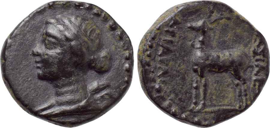 Agesilaos Antik Sikkeler Nümizmatik_EUS (6).jpg