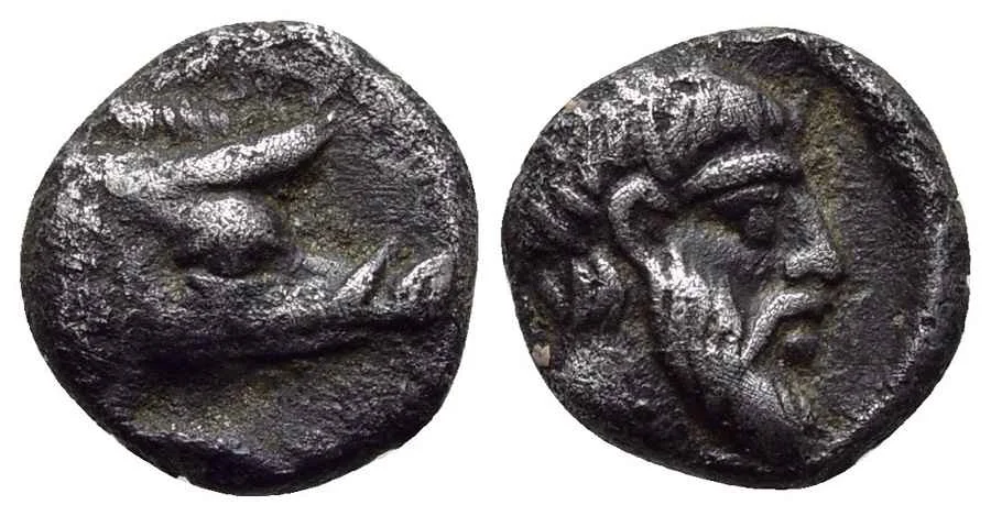 Agesilaos Antik Sikkeler Nümizmatik_EYP (10).webp