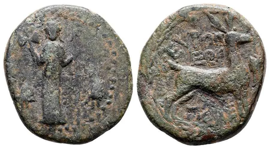 Agesilaos Antik Sikkeler Nümizmatik_EYP (4).webp