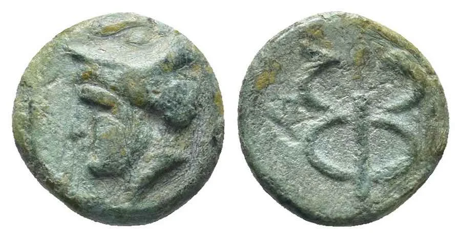 Agesilaos Antik Sikkeler Nümizmatik_FOÇA (5).webp
