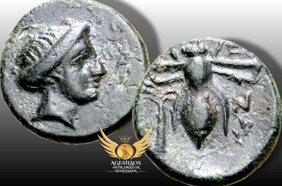 Agesilaos Antik Sikkeler Nümizmatik_GEN.jpg