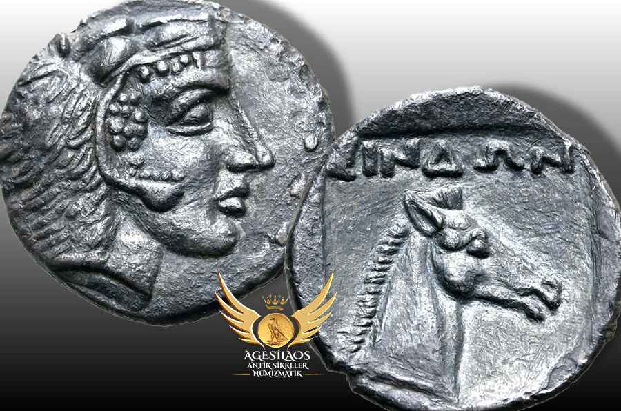 Agesilaos Antik Sikkeler Nümizmatik_GOR.jpg