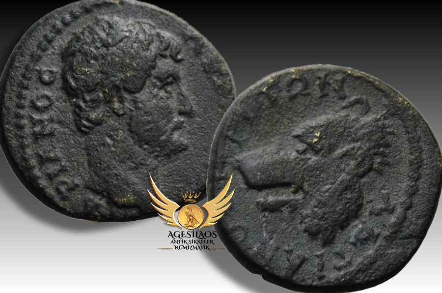 Agesilaos Antik Sikkeler Nümizmatik_HADR.jpg