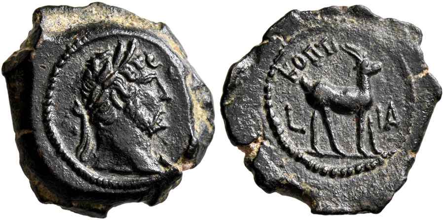 Agesilaos Antik Sikkeler Nümizmatik_HADRIANVS_01 (17).jpg