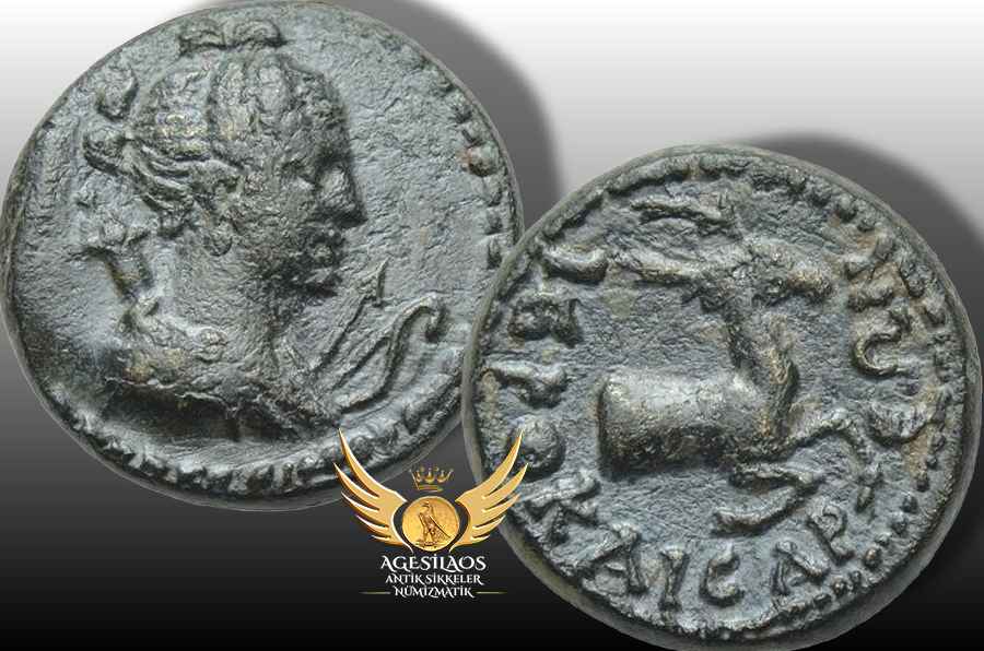 Agesilaos Antik Sikkeler Nümizmatik_HC.jpg