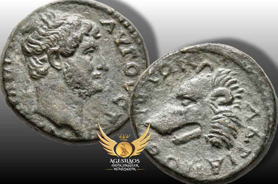 Agesilaos Antik Sikkeler Nümizmatik_HD.jpg