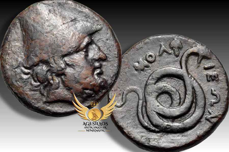 Agesilaos Antik Sikkeler Nümizmatik_HOM.jpg
