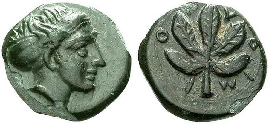 Agesilaos Antik Sikkeler Nümizmatik_IDYMA (8).jpg