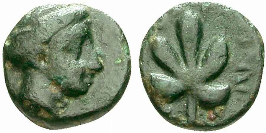 Agesilaos Antik Sikkeler Nümizmatik_IDYMA (9).jpg