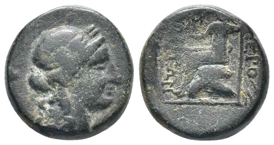 Agesilaos Antik Sikkeler Nümizmatik_IERA (6).webp