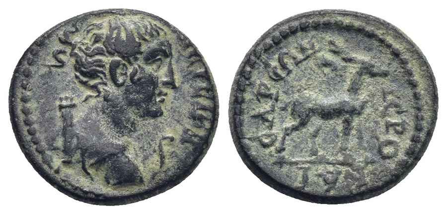 Agesilaos Antik Sikkeler Nümizmatik_IERO (9).jpg