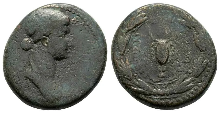 Agesilaos Antik Sikkeler Nümizmatik_IO (4).webp