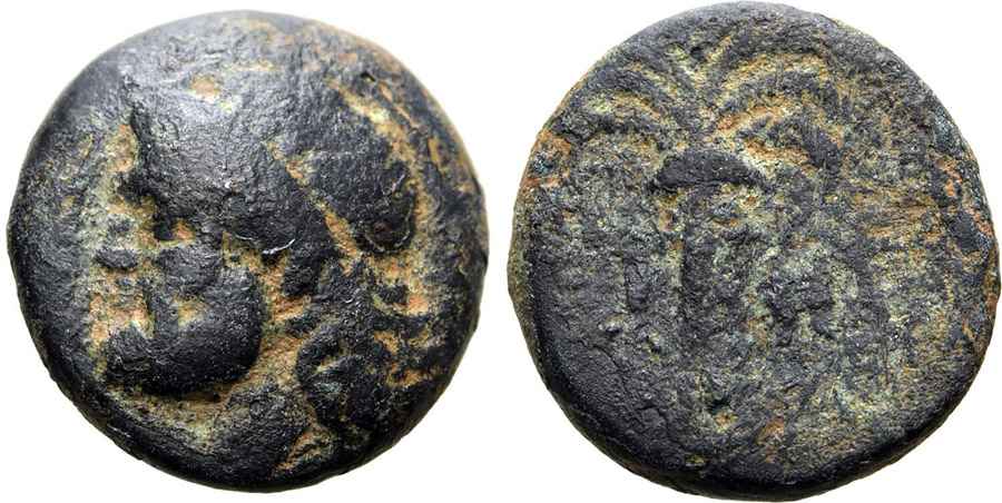 Agesilaos Antik Sikkeler Nümizmatik_IOS (2).jpg