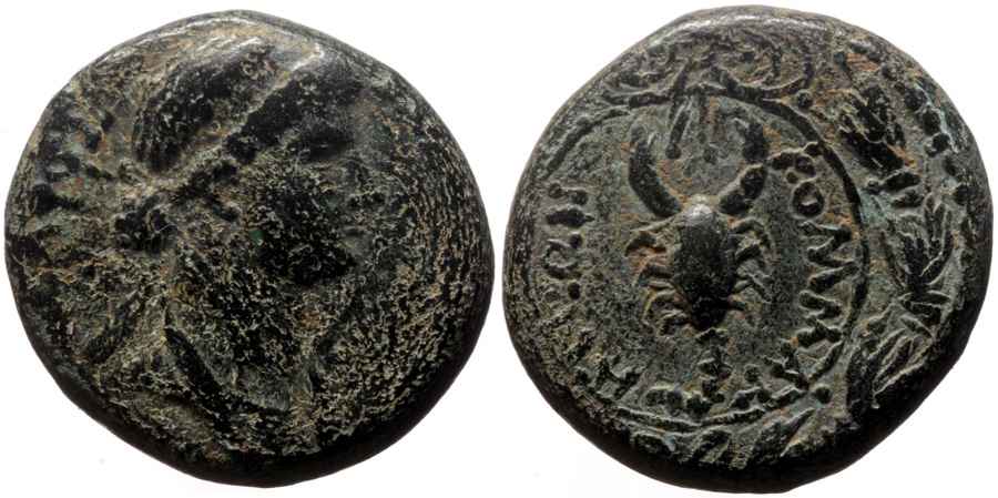 Agesilaos Antik Sikkeler Nümizmatik_IOT (3).jpg