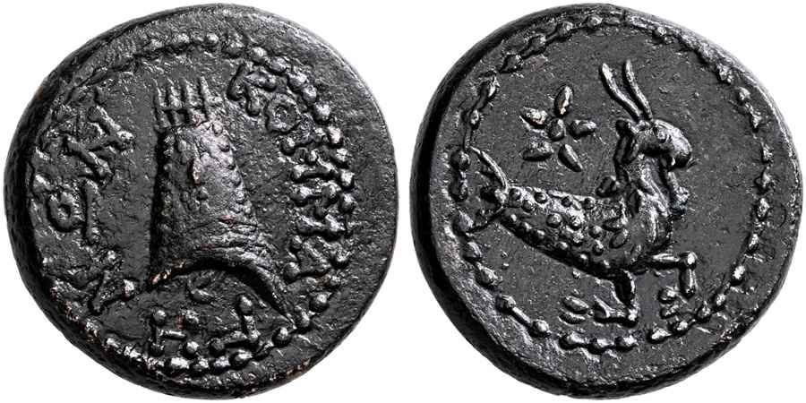 Agesilaos Antik Sikkeler Nümizmatik_IOT (6).jpg