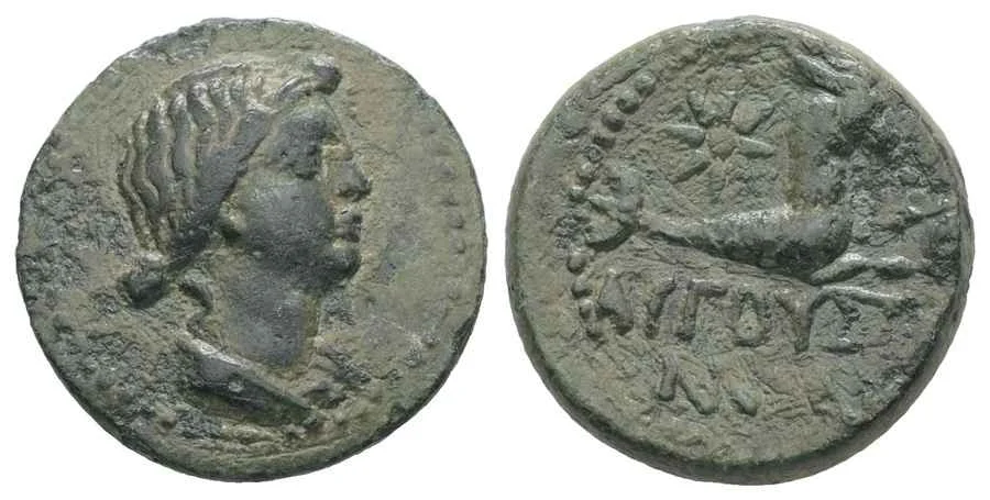 Agesilaos Antik Sikkeler Nümizmatik_JL (13).webp