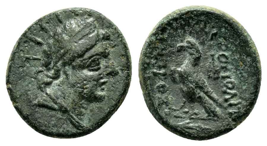 Agesilaos Antik Sikkeler Nümizmatik_KAST (6).jpg