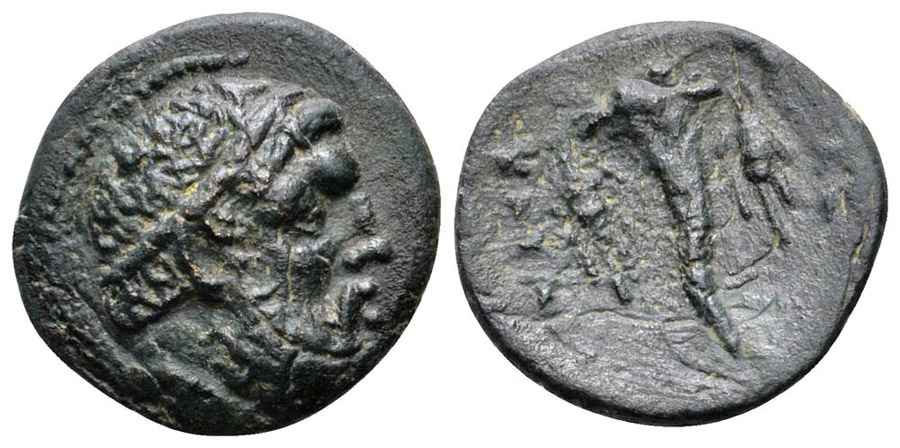 Agesilaos Antik Sikkeler Nümizmatik_KAVAROS (4).jpg