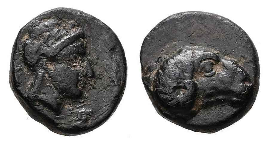 Agesilaos Antik Sikkeler Nümizmatik_KEB (10).jpg