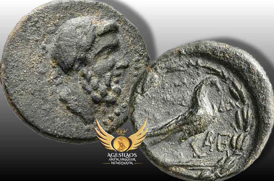 Agesilaos Antik Sikkeler Nümizmatik_kl.jpg