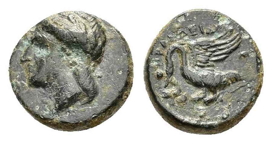  Agesilaos Antik Sikkeler Nümizmatik_KLAZO (17).jpg