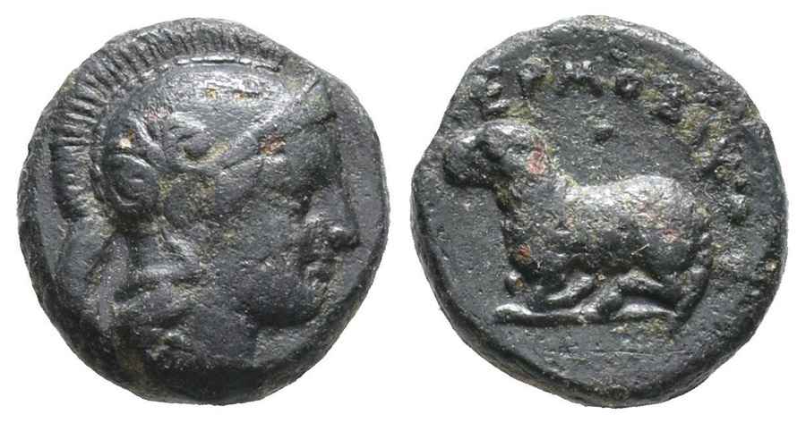  Agesilaos Antik Sikkeler Nümizmatik_KLAZO (3).jpg