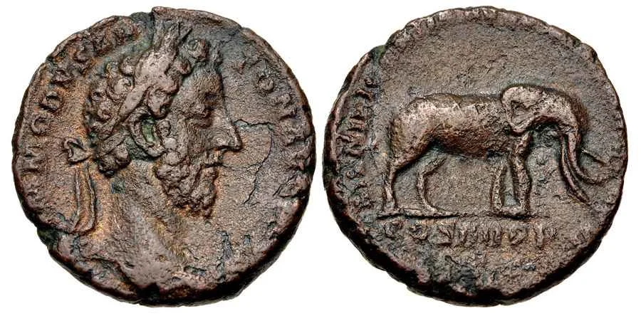 Agesilaos Antik Sikkeler Nümizmatik_KMD (2).webp