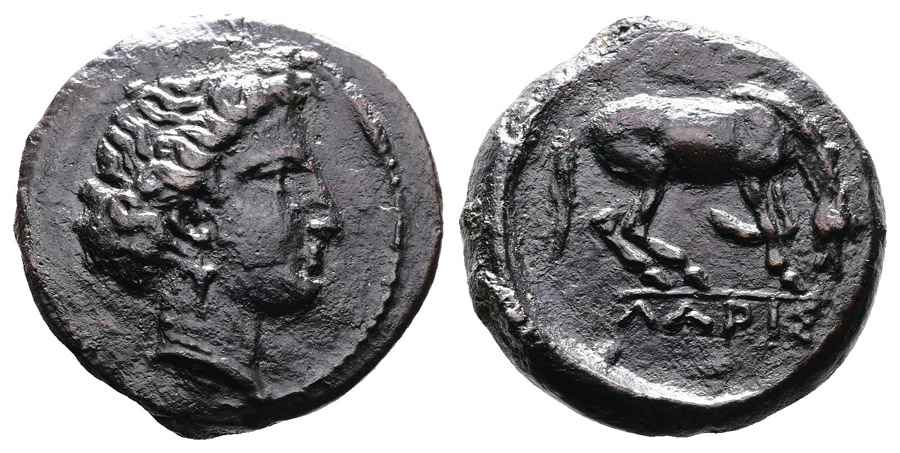 Agesilaos Antik Sikkeler Nümizmatik_LARS (14).jpg