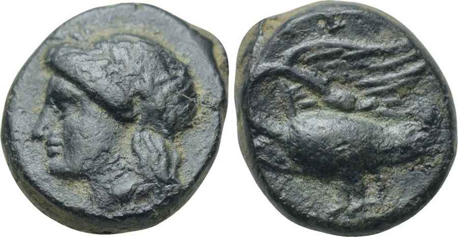 Agesilaos Antik Sikkeler Nümizmatik_LEU (2).jpg