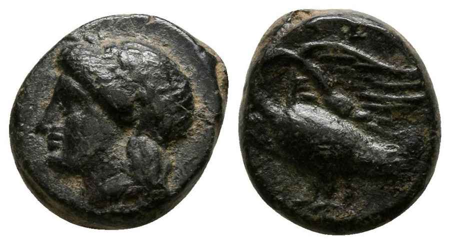 Agesilaos Antik Sikkeler Nümizmatik_LEU (8).jpg