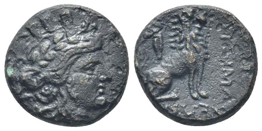 Agesilaos Antik Sikkeler Nümizmatik_LYSC (4).jpg