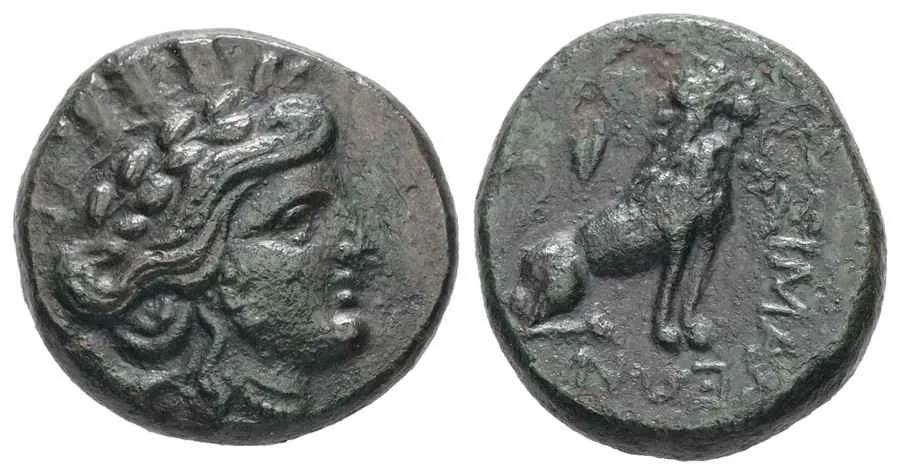 Agesilaos Antik Sikkeler Nümizmatik_LYSM (16).webp