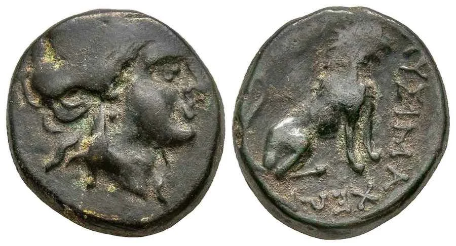 Agesilaos Antik Sikkeler Nümizmatik_LYSM (5).webp