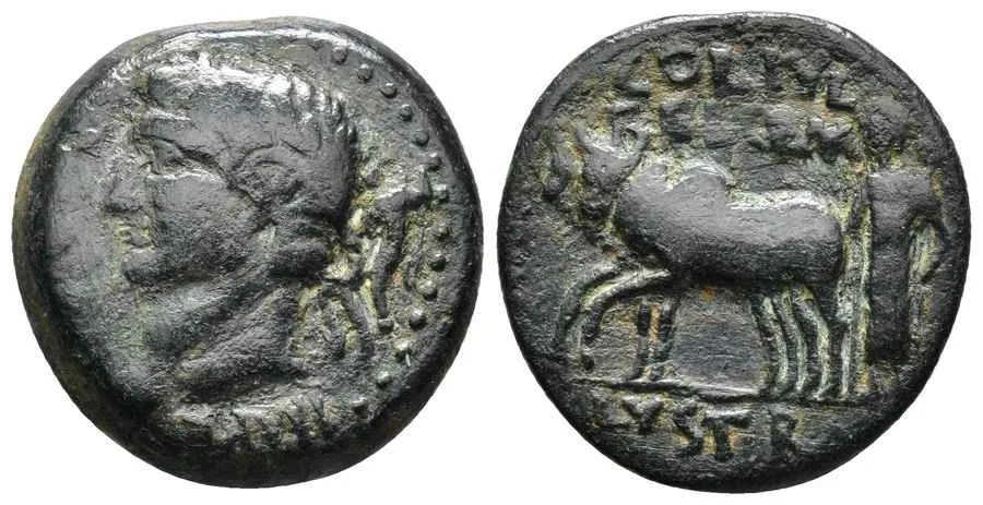 Agesilaos Antik Sikkeler Nümizmatik_LYST (3).webp