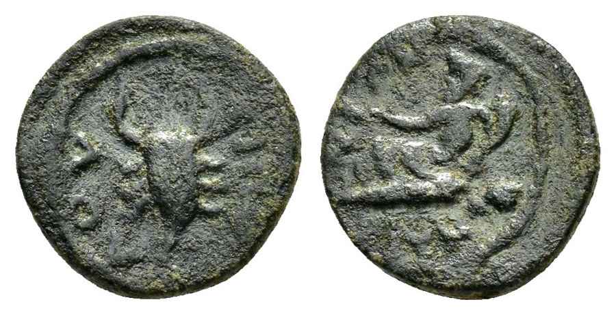 Agesilaos Antik Sikkeler Nümizmatik_MAG (15).jpg