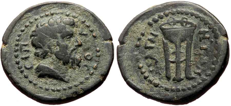 Agesilaos Antik Sikkeler Nümizmatik_MAG (6).jpg