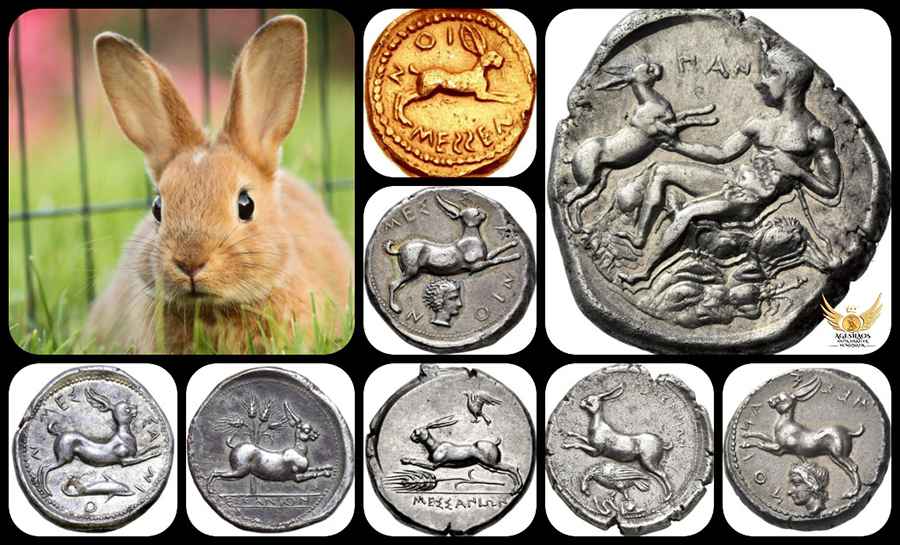 Agesilaos Antik Sikkeler Nümizmatik_MES.jpg