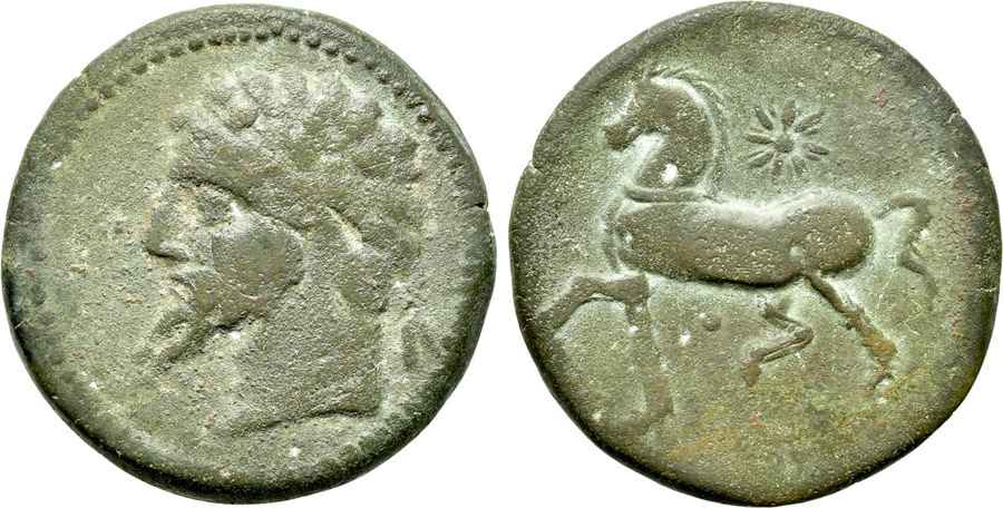 Agesilaos Antik Sikkeler Nümizmatik_MICIPSA (11).jpg