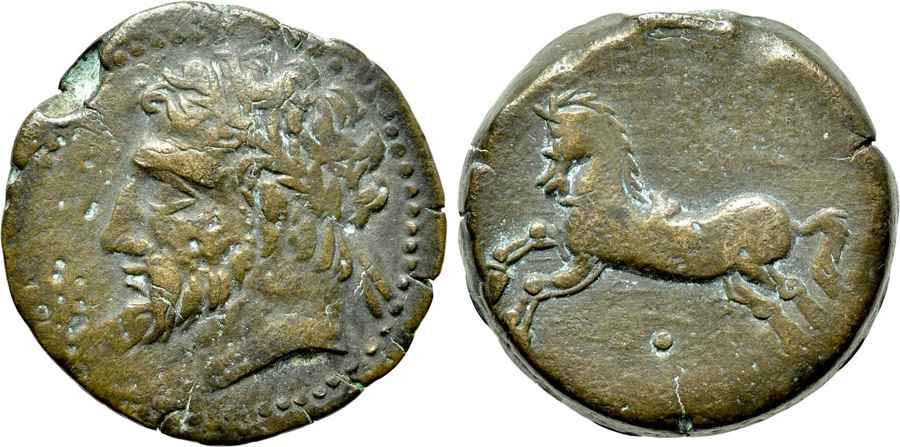 Agesilaos Antik Sikkeler Nümizmatik_MICIPSA (12).jpg