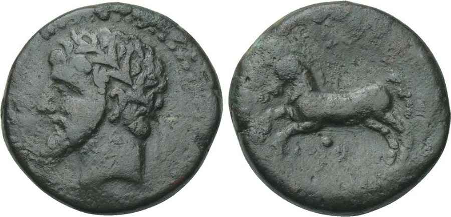 Agesilaos Antik Sikkeler Nümizmatik_MICIPSA (3).jpg