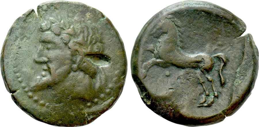 Agesilaos Antik Sikkeler Nümizmatik_MICIPSA (5).jpg