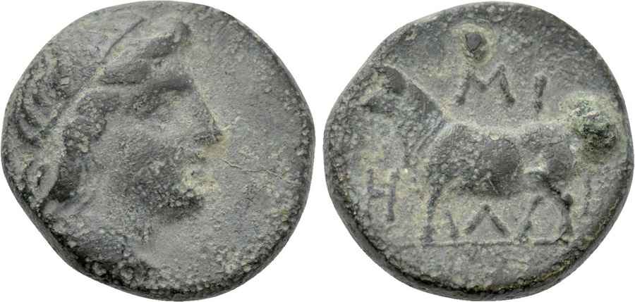 Agesilaos Antik Sikkeler Nümizmatik_MLTP (4).jpg