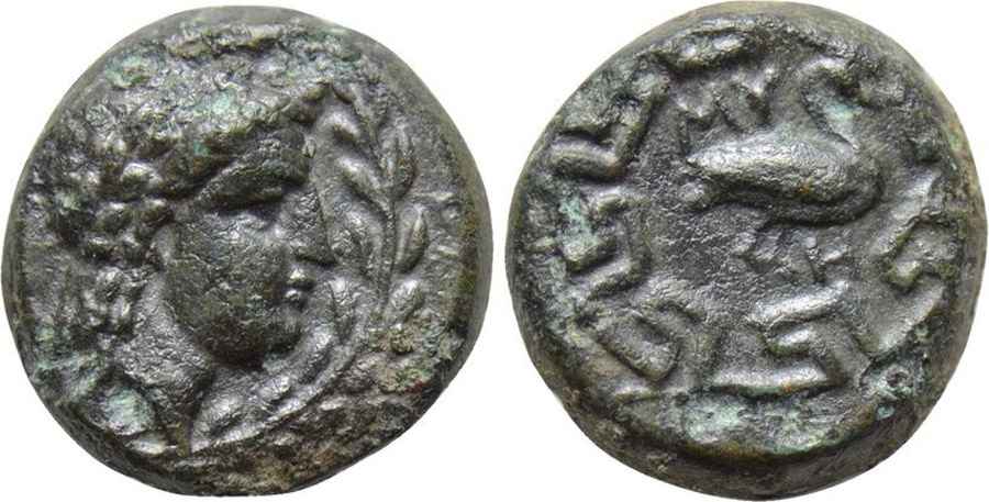 Agesilaos Antik Sikkeler Nümizmatik_MY (2).jpg