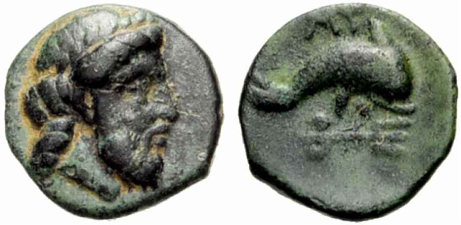 Agesilaos Antik Sikkeler Nümizmatik_MY (6).jpg