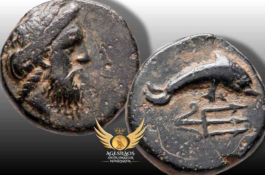 Agesilaos Antik Sikkeler Nümizmatik_MY.jpg